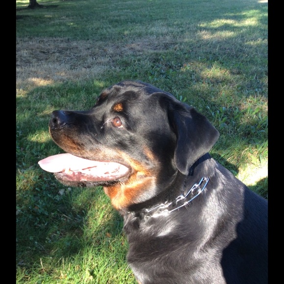 Meet your Posher, Marie - Picture 2 of 2